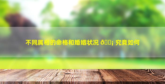 不同属相的命格和婚姻状况 🐡 究竟如何